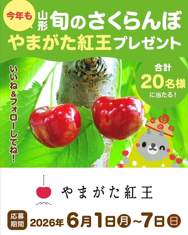 【Instagram懸賞】山形県産さくらんぼ「やまがた紅王」を20名様にプレゼント ｜ 懸賞生活