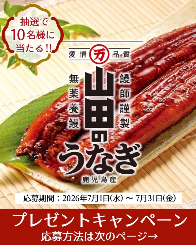 山田水産 鹿児島県産 山田のうなぎ