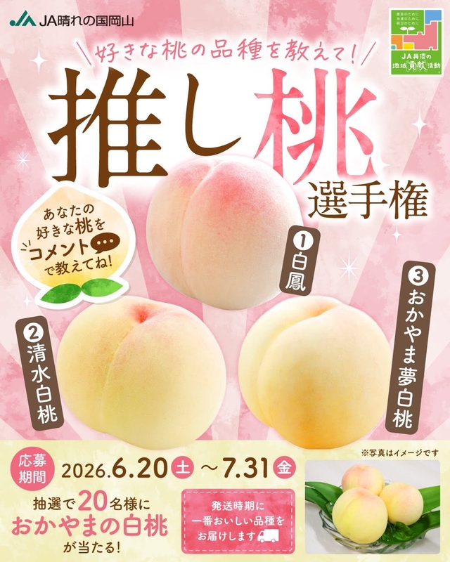 おかやまの白桃