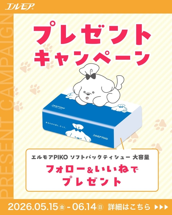 エルモア PIKO「ソフトパックティシュー大容量」