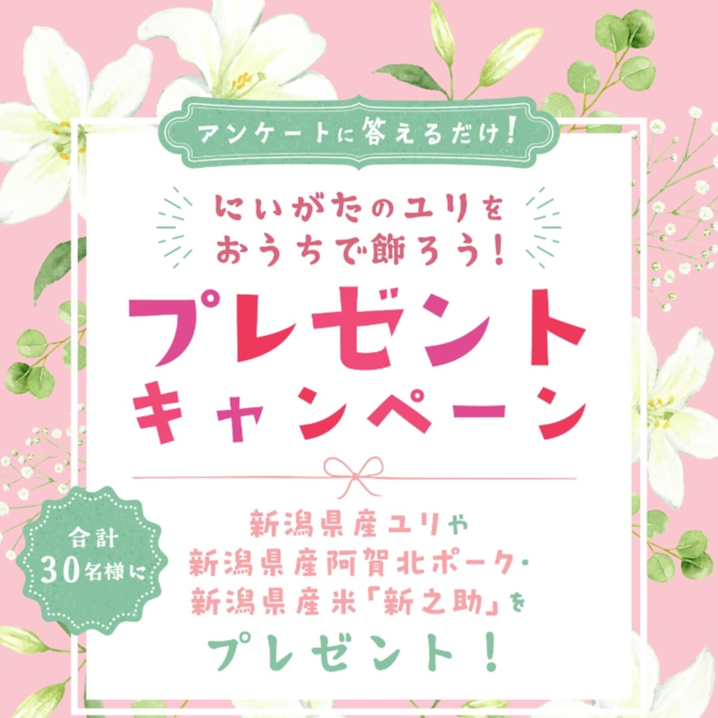 新潟県産ユリ3本セット　新潟県産阿賀北ポーク とんかつ用ロース500g　新潟県産米 新之助2kg
