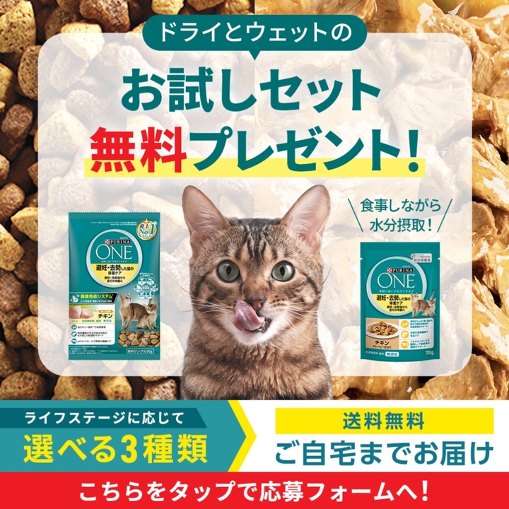 ミックスフィーディングお試しセット