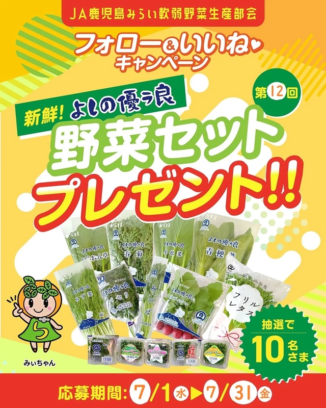 JA鹿児島みらい よしの優ラ良 野菜セット