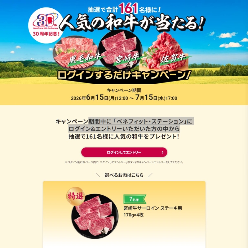 宮崎牛サーロインステーキ用（170g×4枚）　国産黒毛和牛 焼肉用（バラ250g＆モモ250g）　佐賀牛A4ランク以上 切り落とし（500g）