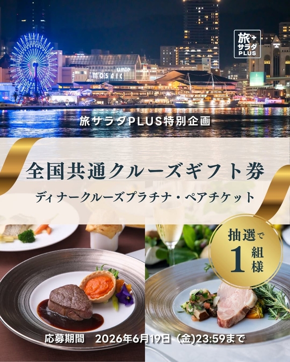 全国共通クルーズギフト券ディナークルーズプラチナ ペアチケット（4万4000円相当）