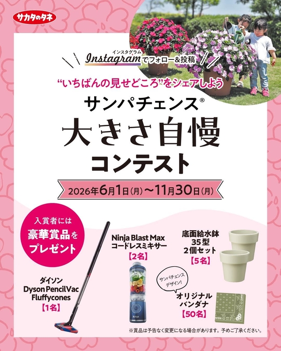 Dyson PencilVac Fluffycones　Ninja Blast Maxコードレスミキサー　底面給水鉢35型2個セット　バンダナ