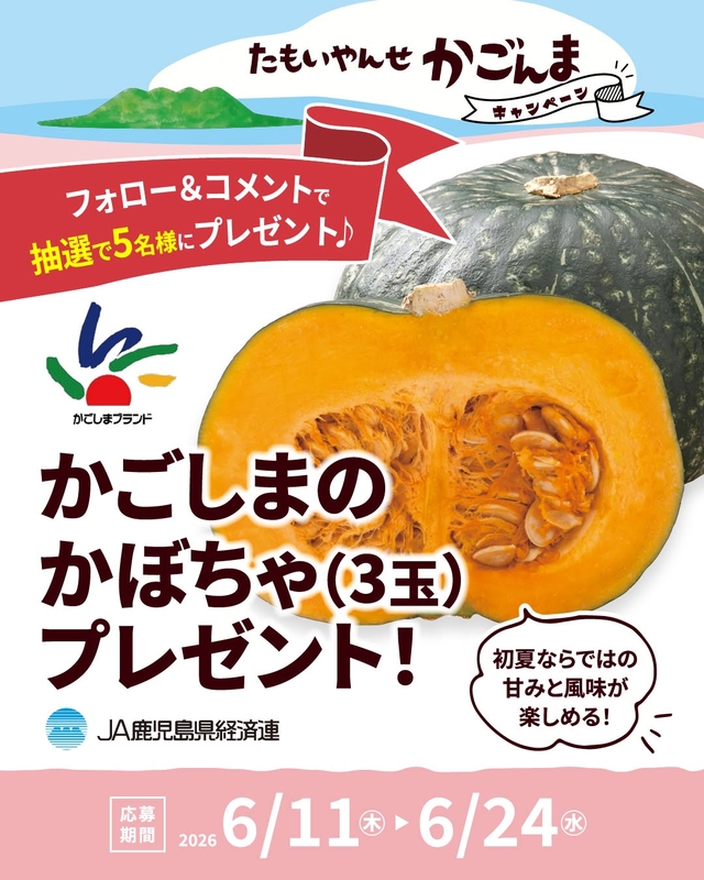 かごしまのかぼちゃ 3玉
