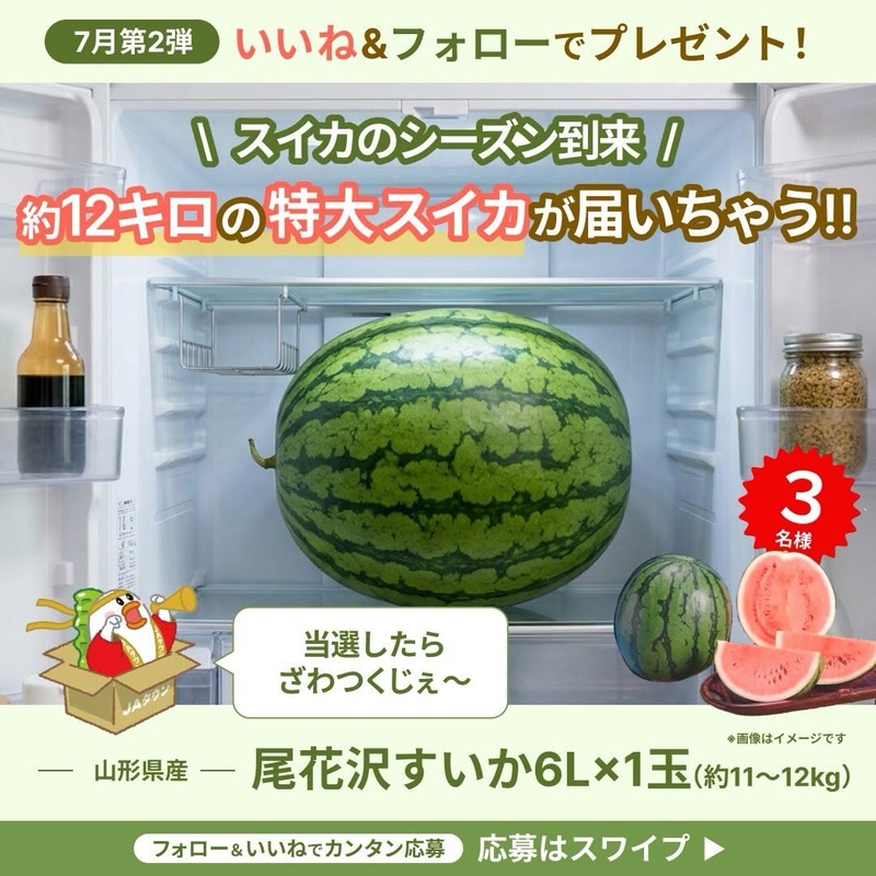 山形県産 尾花沢すいか6L×1玉