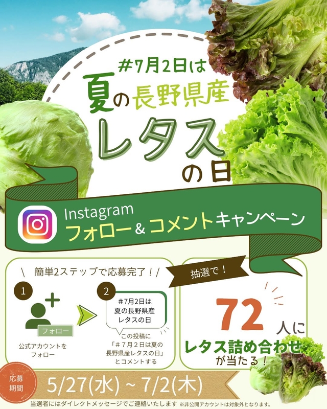 レタス3種 詰め合わせ