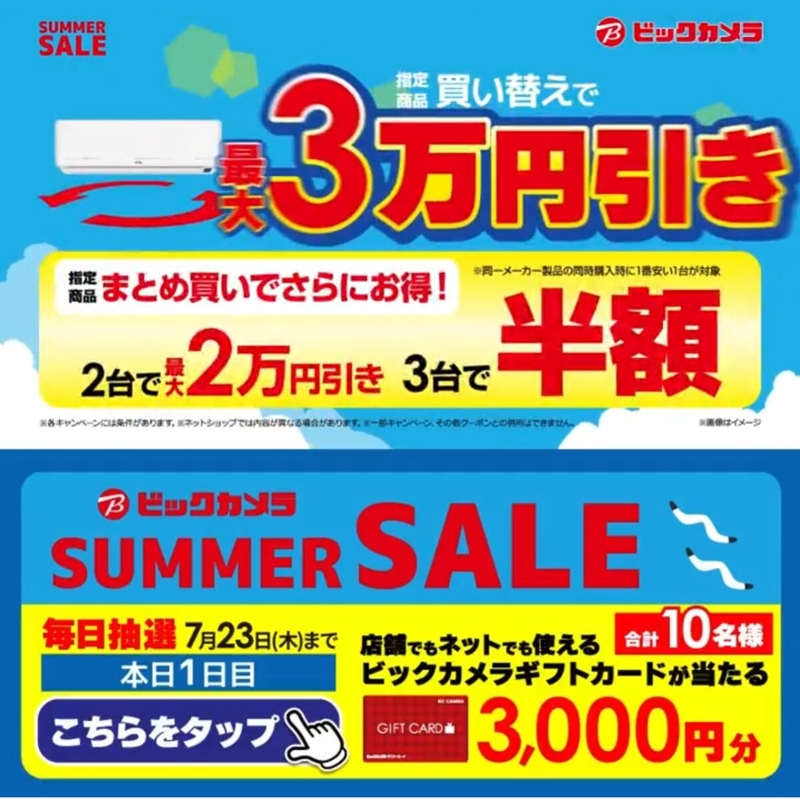 ビックカメラギフトカード3000円分