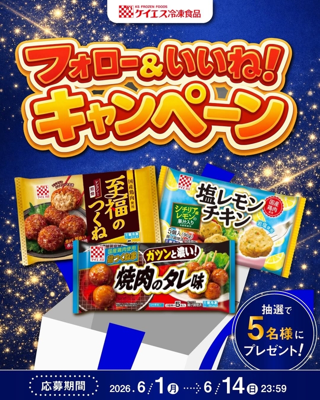 ケイエス冷凍食品 詰め合わせセット