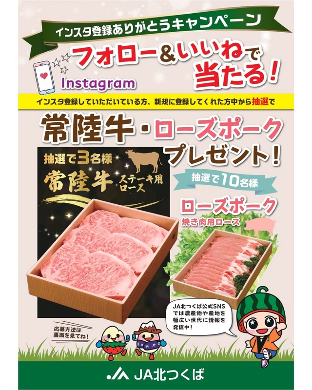 常陸牛ロース ステーキ用　ローズポーク ロース焼肉用