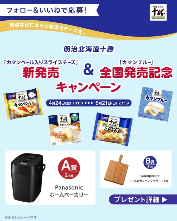 カマンベール入りスライスチーズお楽しみセット（Panasonic ホームベーカリー＆チーズセット）ほか