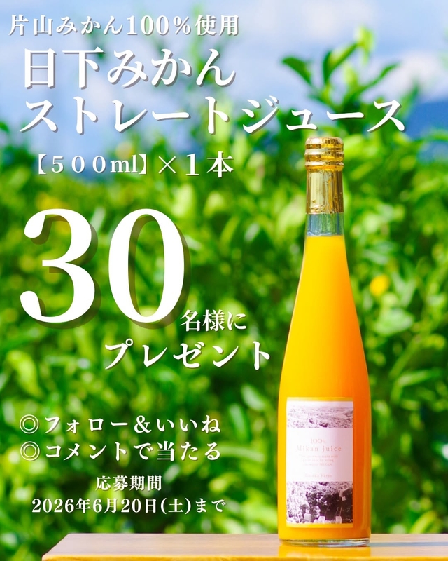 日下農園の片山みかんジュース500ml×1本