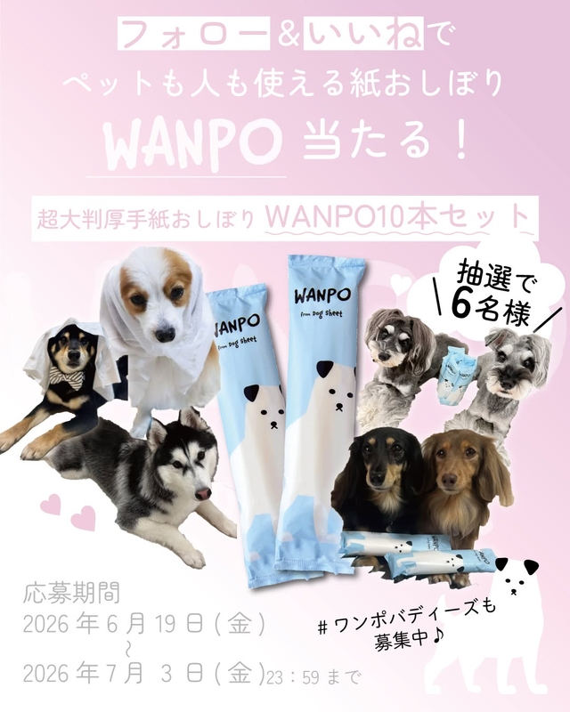 人もペットも使える紙おしぼり「WANPO」10本セット