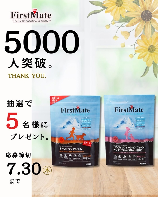 ファーストクラスが当たるキャンペーン一覧 懸賞生活|1ページ目おすすめ順
