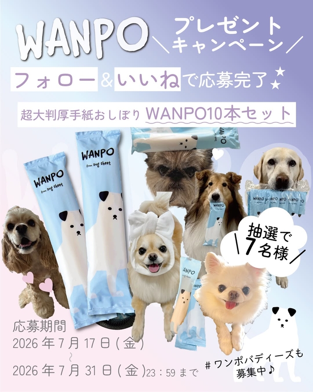 人もペットも使える紙おしぼりWANPO