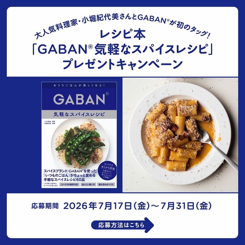 レシピ本「GABAN気軽なスパイスレシピ」＆GABAN 3品セットほか
