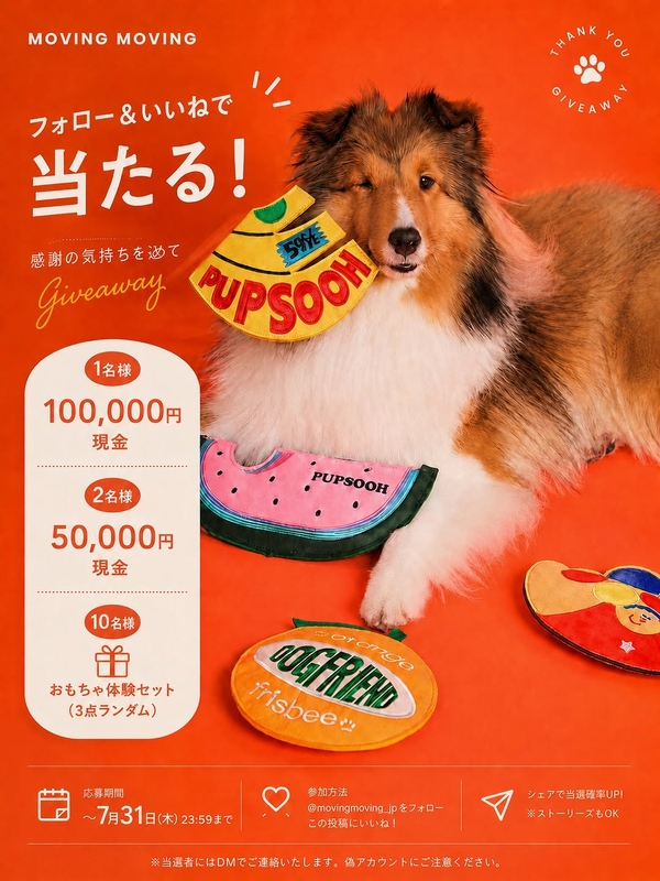 現金10万円　5万円　ペットおもちゃ