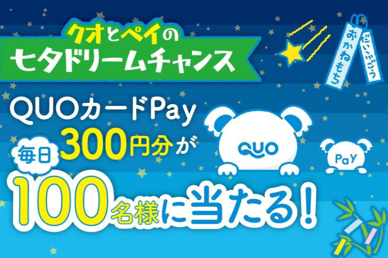 QUOカードPay300円分