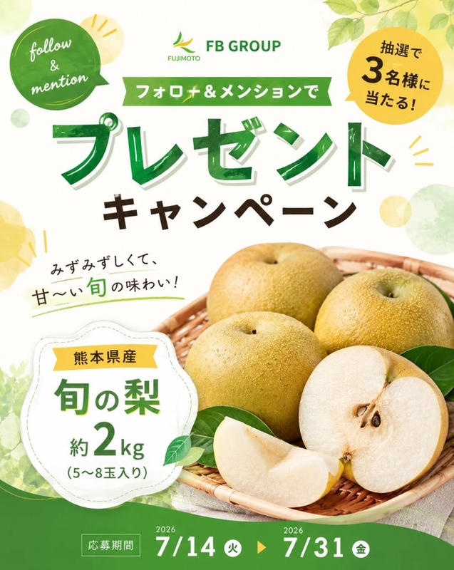 熊本県 梨 約2kg