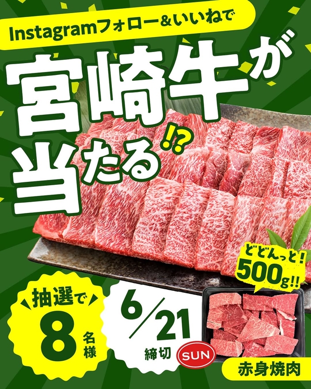 宮崎牛 赤身焼肉500g