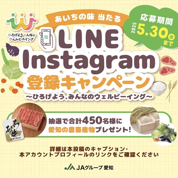 あいち牛ロースしゃぶしゃぶすきやき用500g　愛知県産米「愛ひとつぶ」2kg×2袋　愛知県産野菜BOX