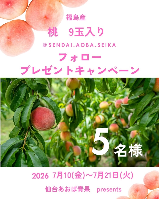福島県産 桃9玉